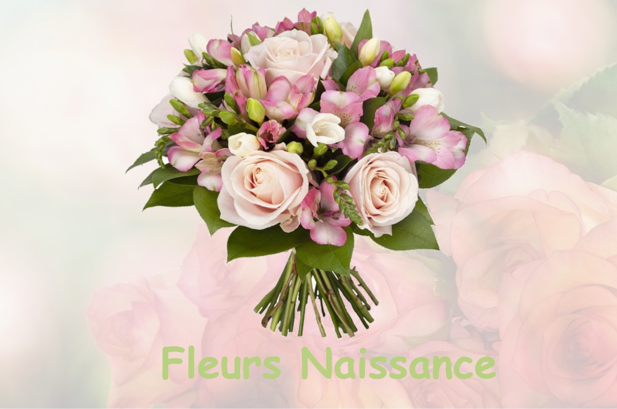fleurs naissance AICIRITS-CAMOU-SUHAST